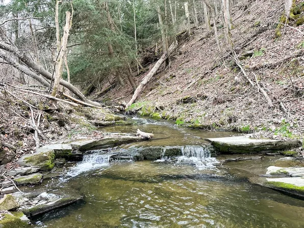 Vl Brennan Rd Lot Wp010, Addison, NY 14801