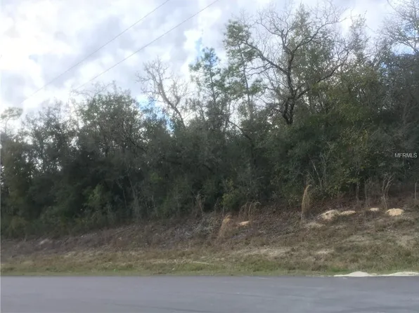8315 Shasta St, Webster, FL 33597