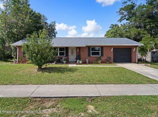 12326 Elgin Blvd, Spring Hill, FL 34609