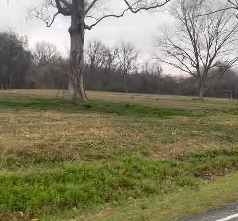 1st image of 14413 Upper Steel Bend Rd