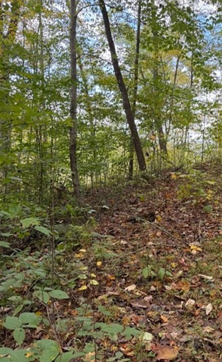1st image of 0 Eversole Br #160 acres