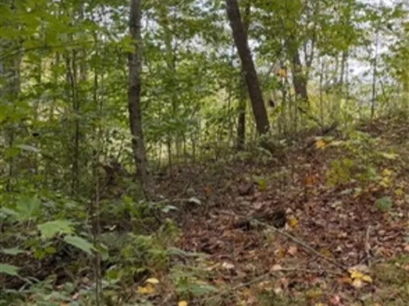 0 Eversole Br #160 acres, Busy, KY 41723