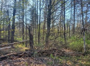 0 W 96th St, Bitely, MI 49309