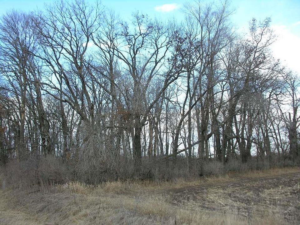2nd image of March Ave