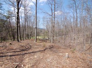 0 Thomasson Mill Rd, Goodview, VA 24095