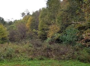 49 Loop Rd, Spruce Pine, NC 28777