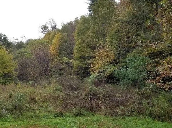49 Loop Rd, Spruce Pine, NC 28777