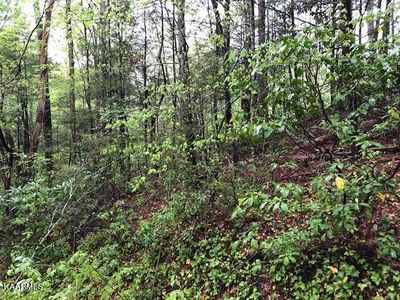 LOT-16R Red Bud Ln, Gatlinburg, TN, 37738