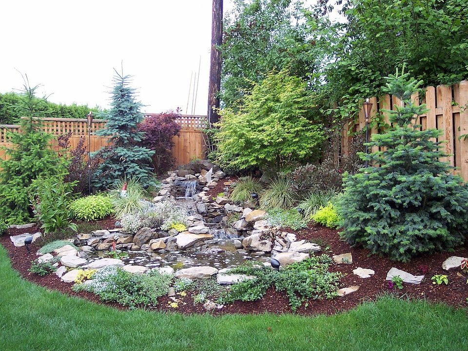 pond