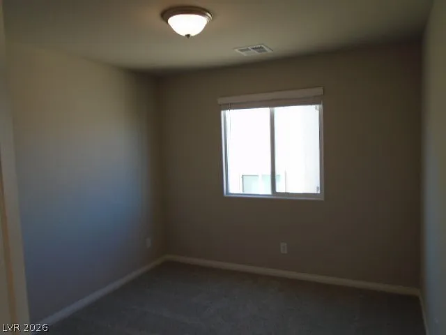5281 Acadia Leaf St — Photo 29