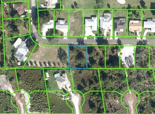 150 Lincoln Rd NW, Lake Placid, FL 33852