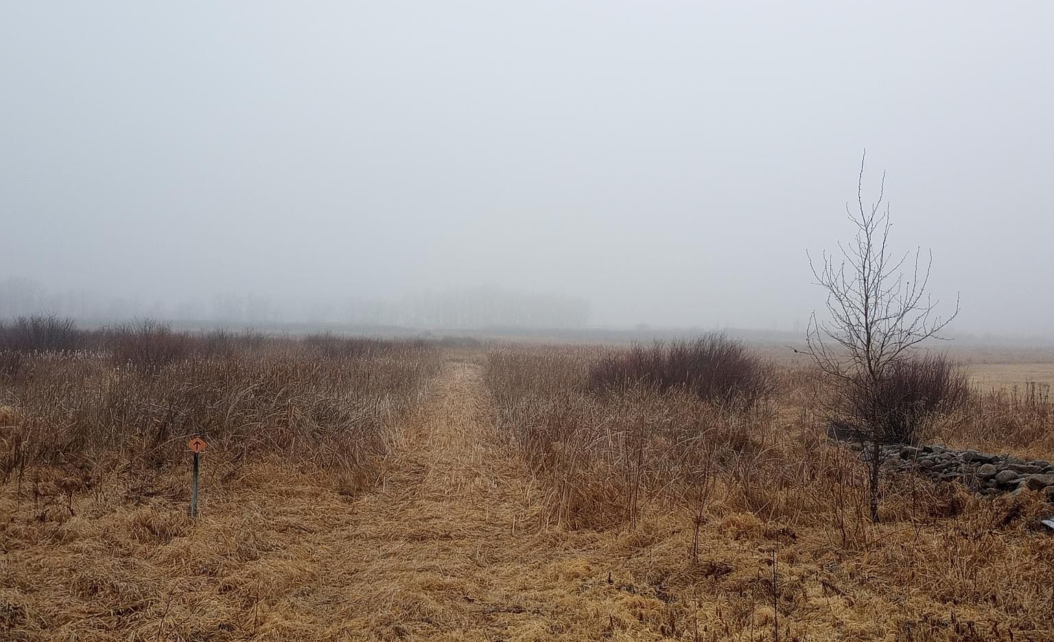 300th St, Browerville, MN 56438 MLS 6471252 Zillow