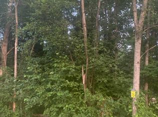 Tamarack Ave, Saint Helen, MI 48656