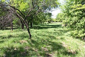 Home for Sale in Cedar Hill, Texas $70,000