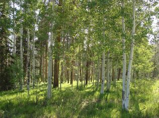 32618 Colt Trl, Oak Creek, CO 80467