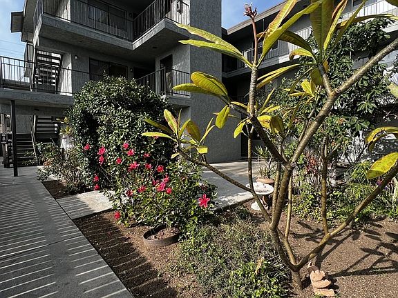 Courtyard Area