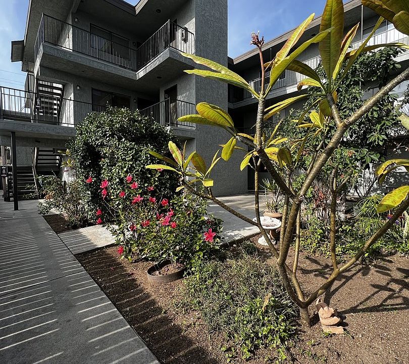 Courtyard Area