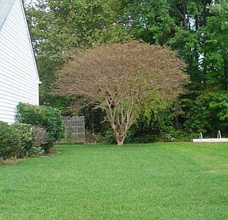 5th image of 4408 Clifton St