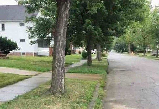 2nd image of 1649 Hillview Rd