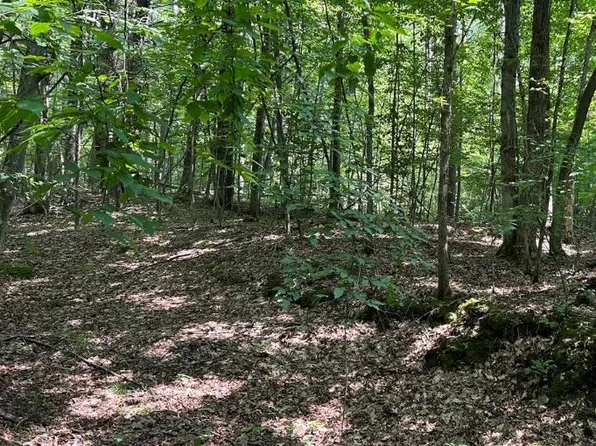 0 Niger Rd, Bradford, NY 14815