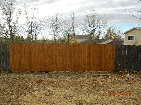 Fenced back yard