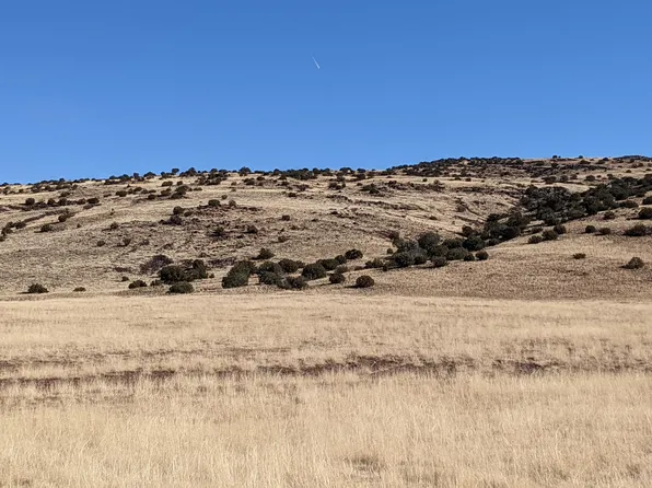 62 Big Valley, Concho, AZ 85924