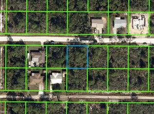 216 Pelican Ave, Sebring, FL 33870