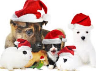 2028 Rockwell St, Edgewood, MD 21040