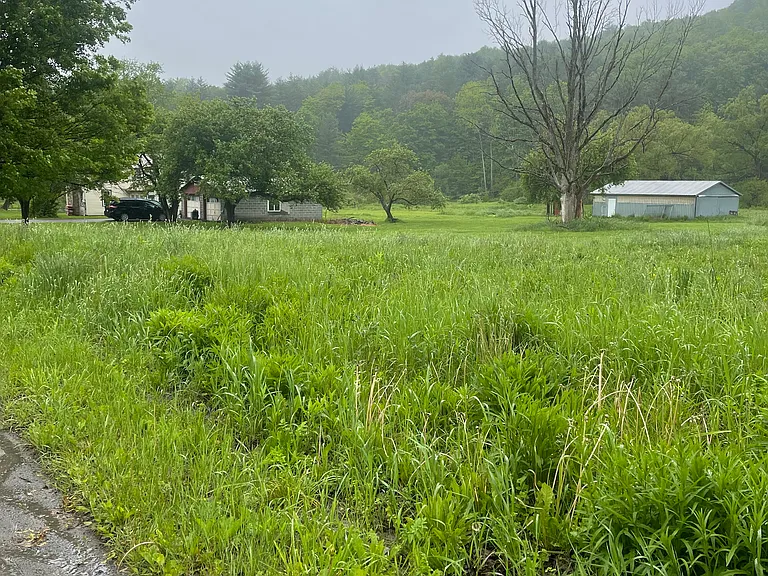 View from road