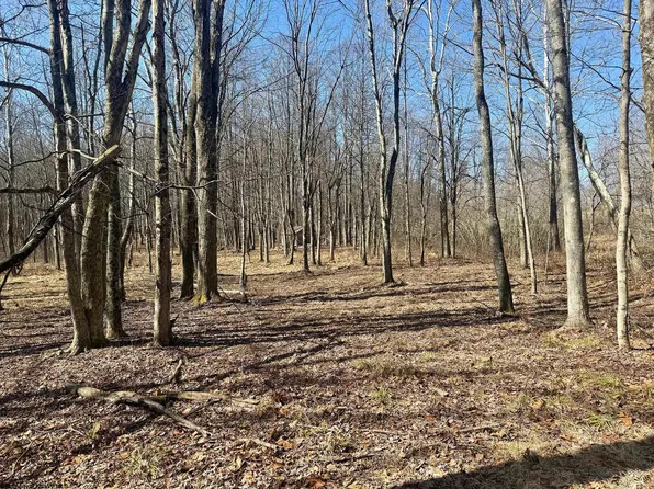 0 Ludwig Rd, Grafton, WV 26354