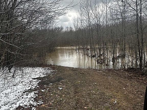 4th image of 50.77 Old Olive Rd