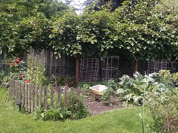 Garden facing west