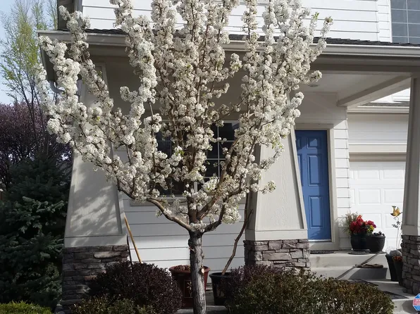 4585 Keyhaven Dr, Reno, NV 89502