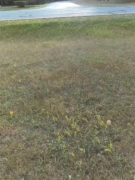 1st image of 1018 Duquesa Dr