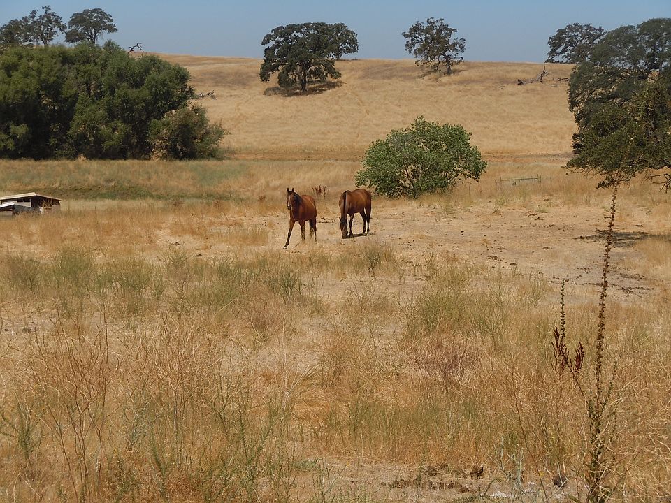1st image of Lake Camanche Vlg Lot 947