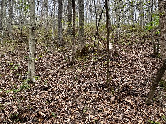 3rd image of 0 N 421st Hwy