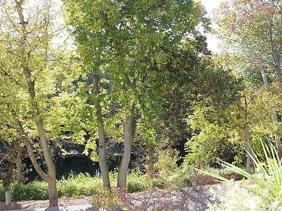 4th image of 6651 Shore Island Dr
