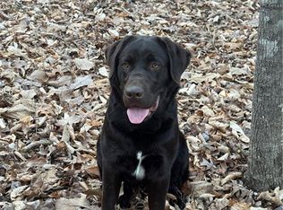 1 Estate Dr, Providence, NC 27315