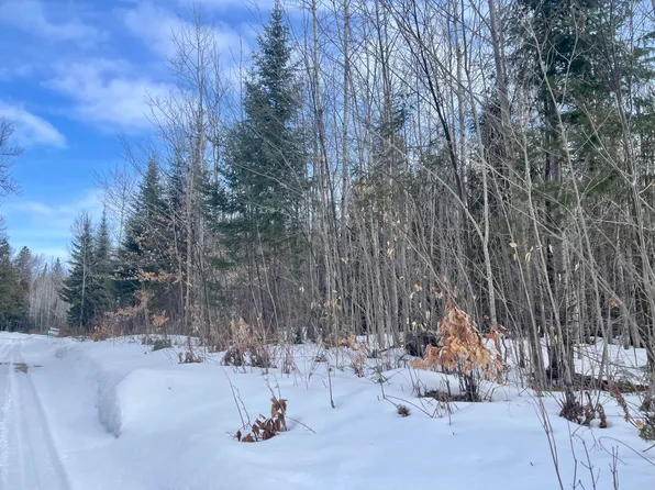 E Old North Rd, De Tour Village, MI 49725