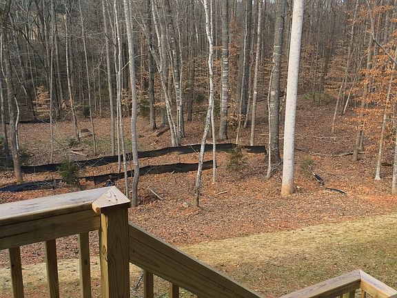 Back Yard View