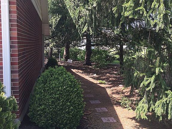 lovely walkway to patio.
