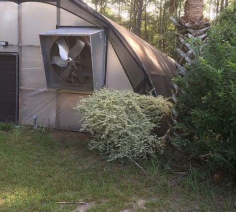 Greenhouse from side