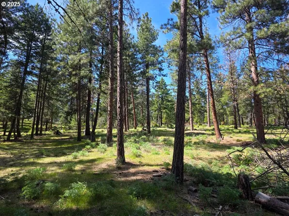 216 Highway, Maupin, OR 97037