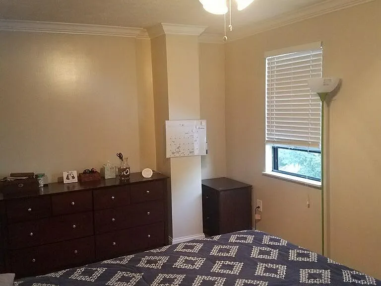 Master with ceiling Fan