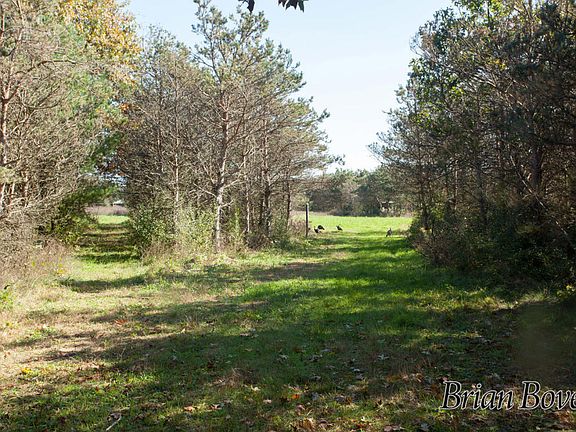 5th image of 919 N Carlson Dr
