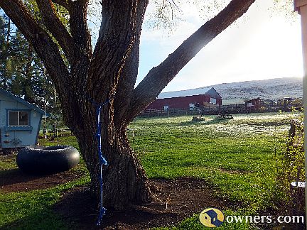Backyard tree viewing barn, coupe and playhouse