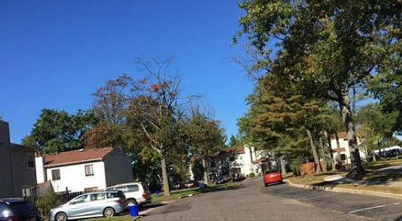 2nd image of 359 Juniper St
