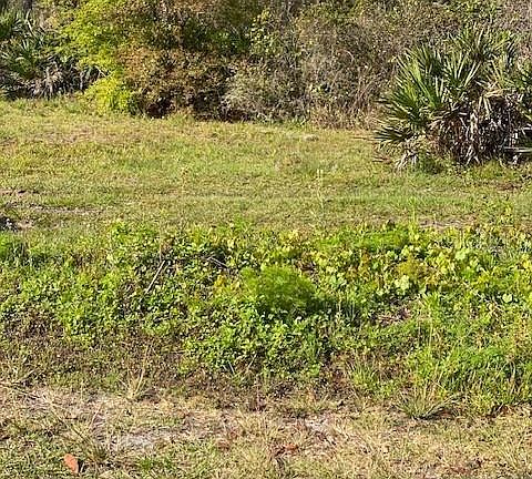 3rd image of 2928 Robin Hood Ln