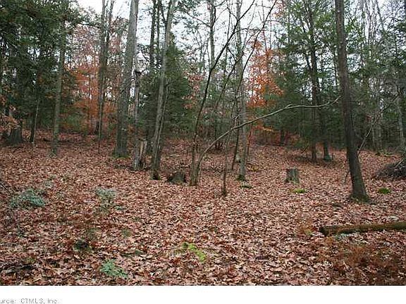 3rd image of 581 Litchfield Tpke