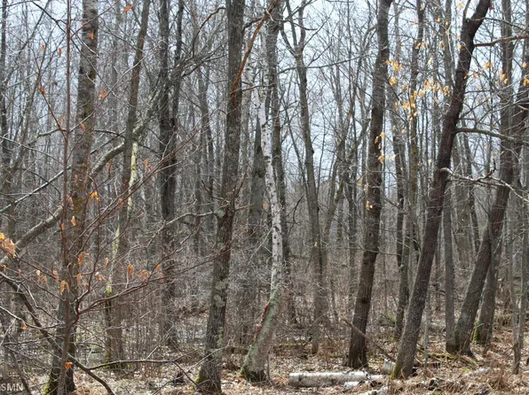 36XX 440th St, Isle, MN 56342